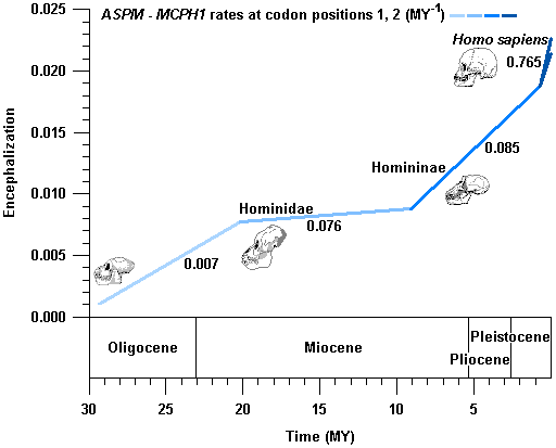 Graphical abstract